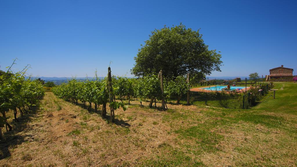 Tenuta Angelici Winery Casa Contea With Pool And Panoramic Pool Cortona Villa Terontola Oda fotoğraf